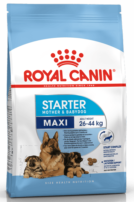 Royal Canin Maxi Starter Large Breed Mother & Babydog Food.