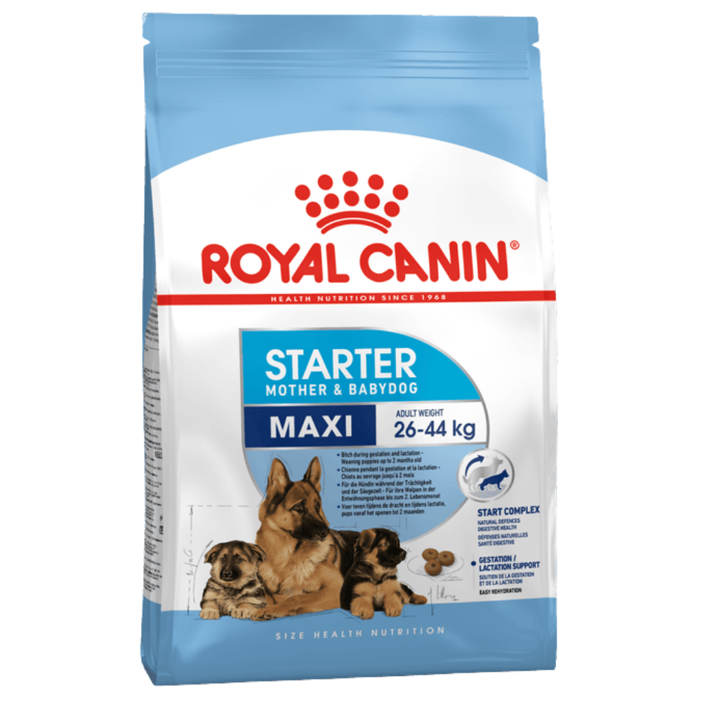Royal Canin Maxi Starter Large Breed Mother & Babydog Food.