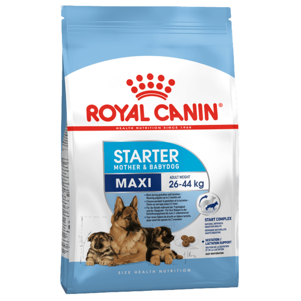 Royal Canin Maxi Starter Large Breed Mother & Babydog Food.