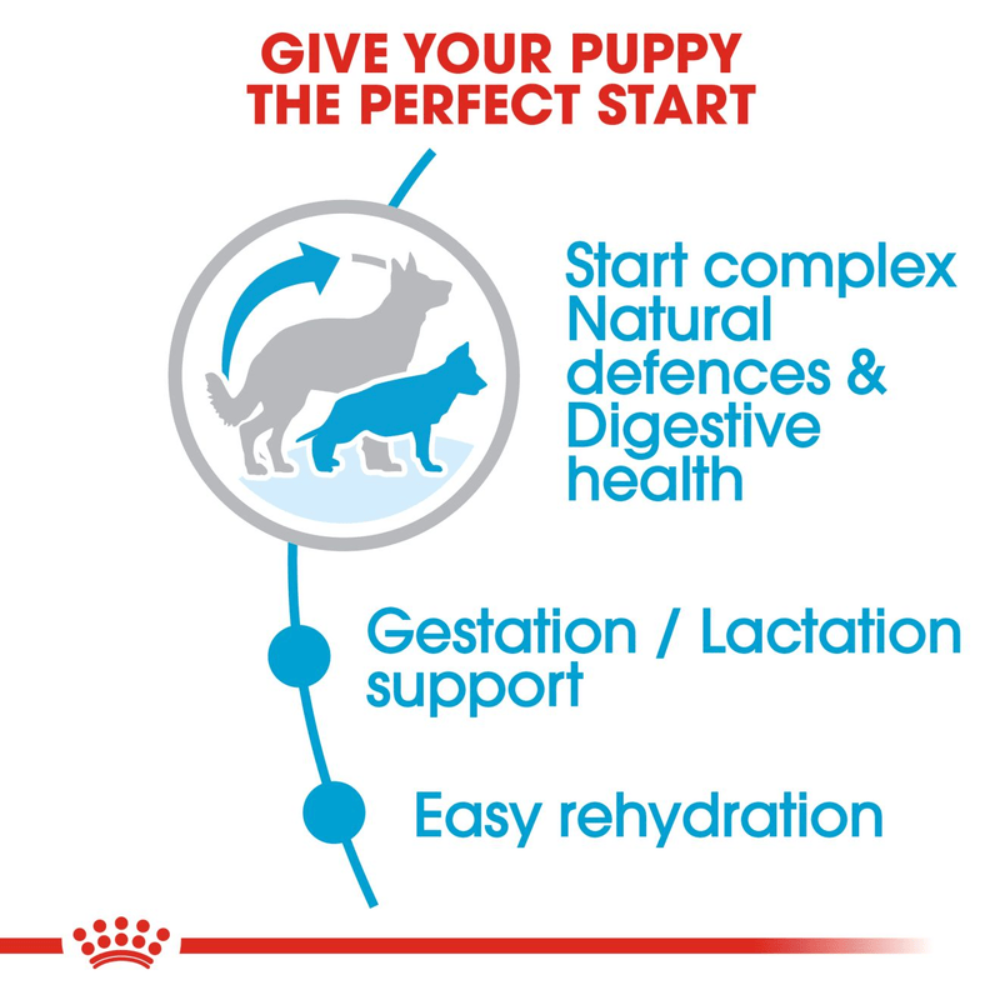 Royal Canin Maxi Starter Large Breed Mother & Babydog Food.
