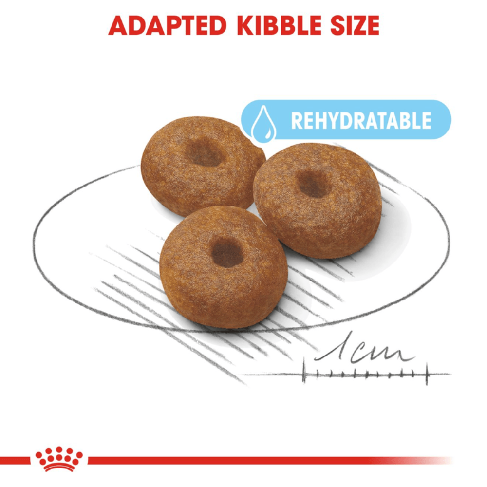 Royal Canin Maxi Starter Large Breed Mother & Babydog Food.
