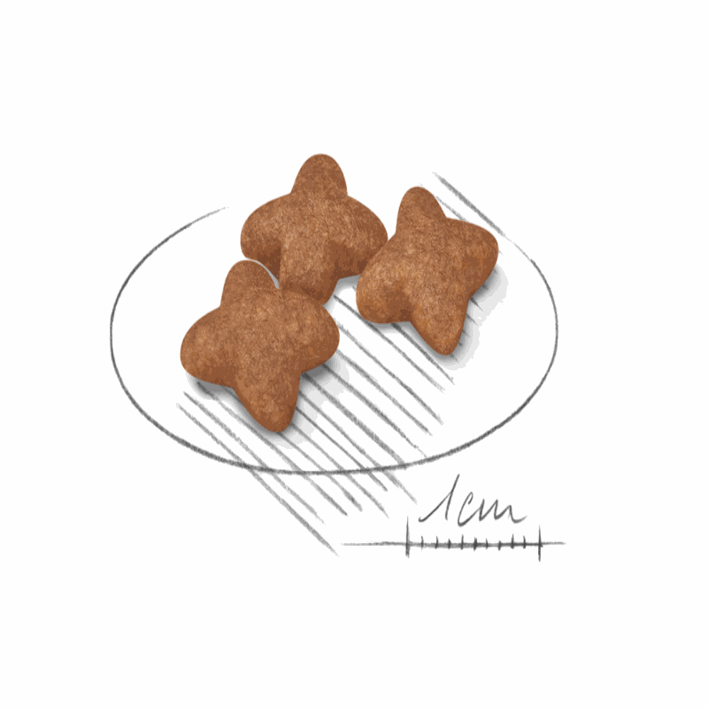 Royal Canin Mini Small Breed Adult Dog Food.