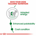 Royal Canin Mini Small Breed Adult Dog Food.