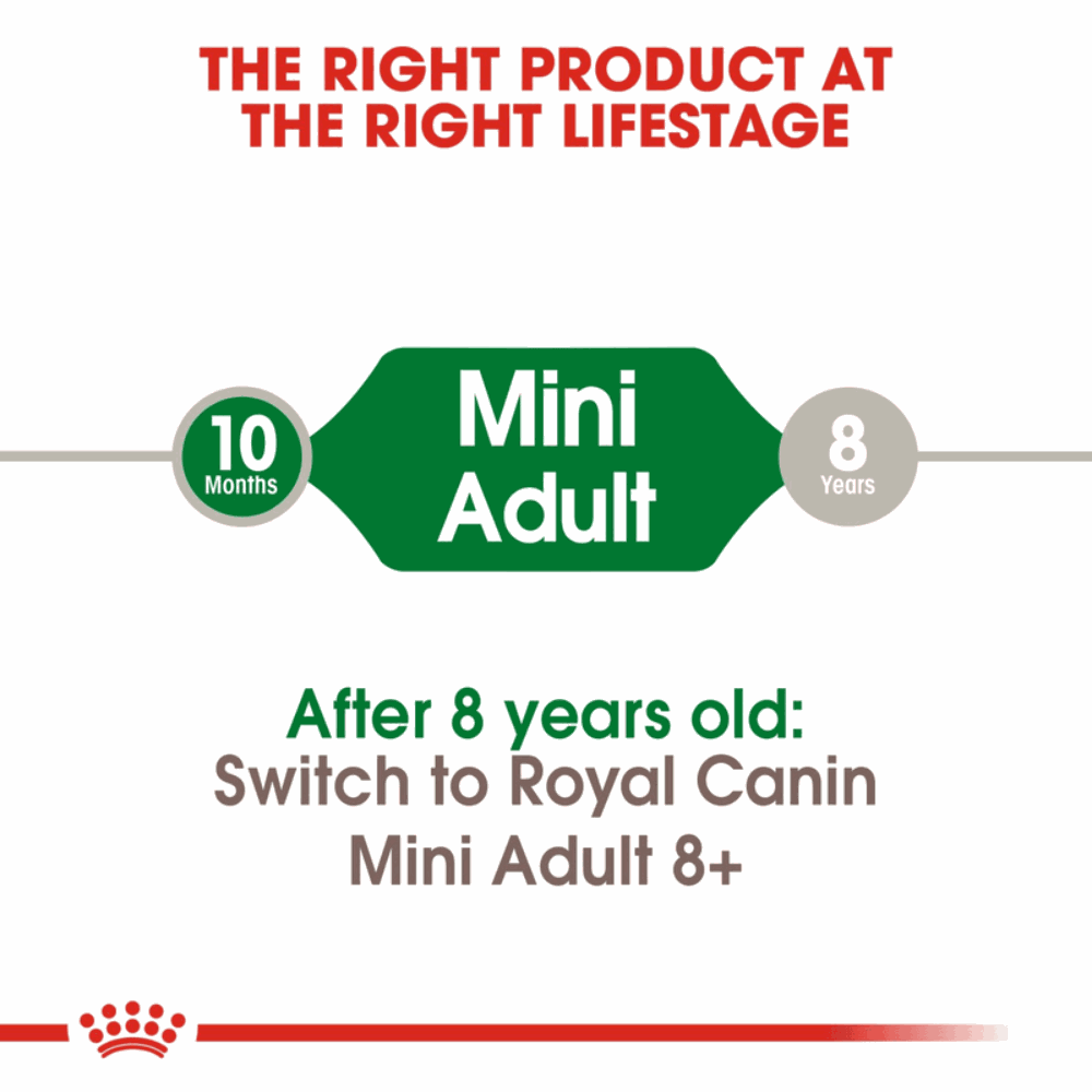 Royal Canin Mini Small Breed Adult Dog Food.