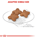 Royal Canin Mini Small Breed Adult Dog Food.