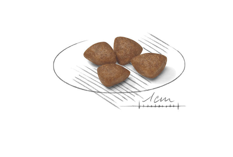 Royal Canin Mini Starter Small Breed Mother & Babydog Food 1kg.