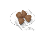 Royal Canin Mini Starter Small Breed Mother & Babydog Food 1kg.