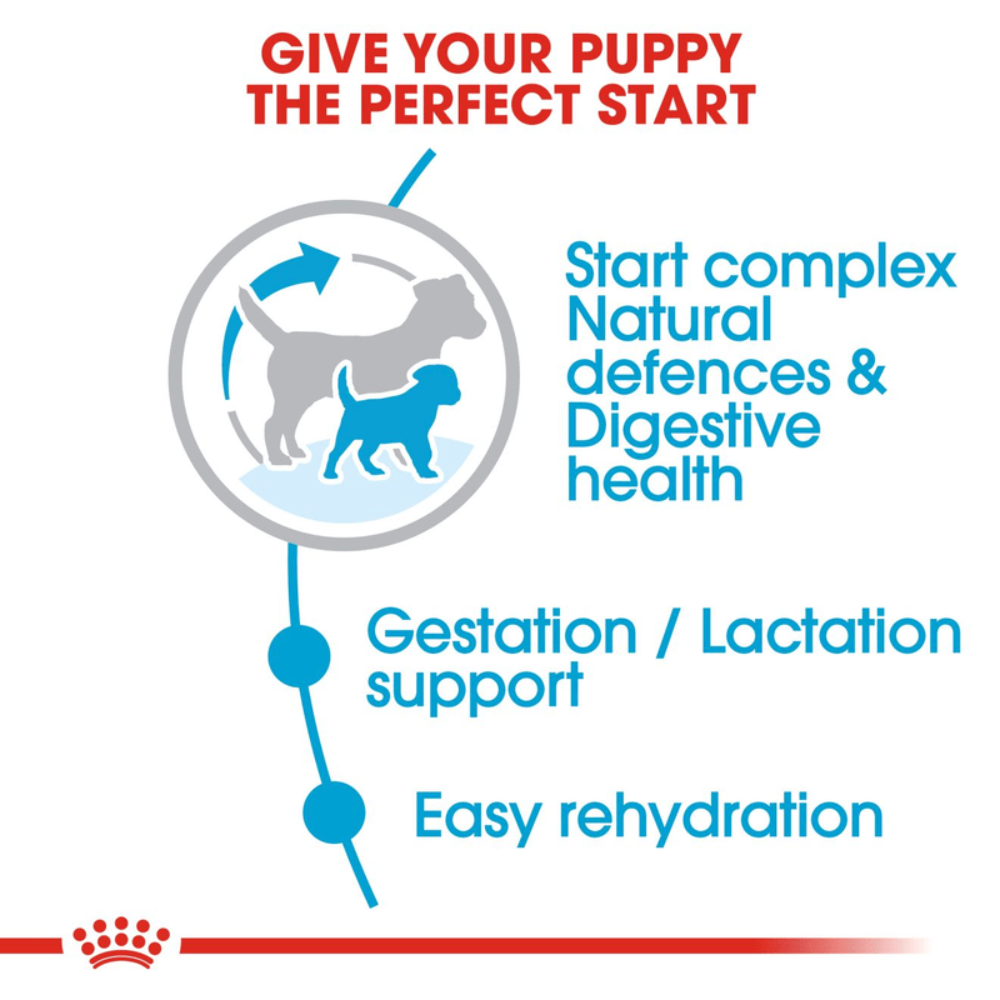 Royal Canin Mini Starter Small Breed Mother & Babydog Food 1kg.