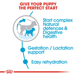 Royal Canin Mini Starter Small Breed Mother & Babydog Food 1kg.