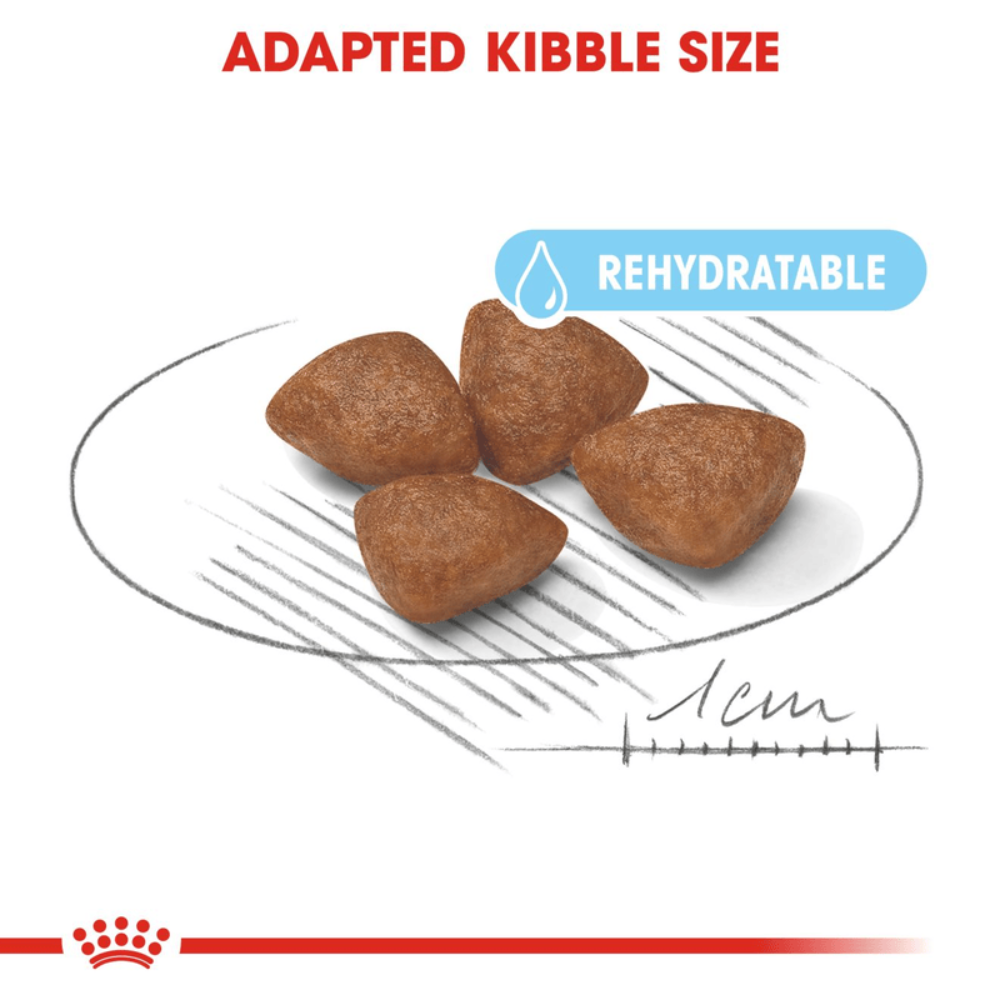 Royal Canin Mini Starter Small Breed Mother & Babydog Food 1kg.
