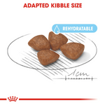 Royal Canin Mini Starter Small Breed Mother & Babydog Food 1kg.