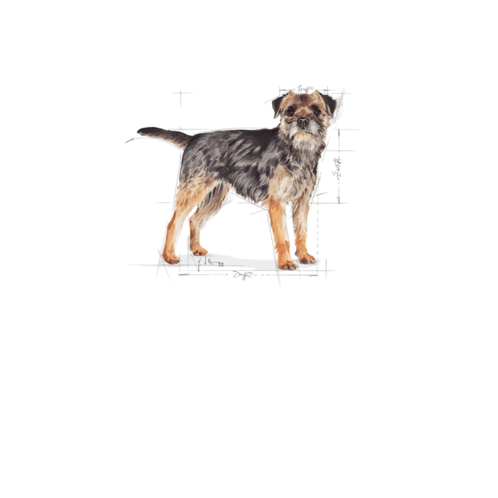 Royal Canin Mini Sterilised Small Breed Adult Dog Food.