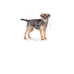 Royal Canin Mini Sterilised Small Breed Adult Dog Food.