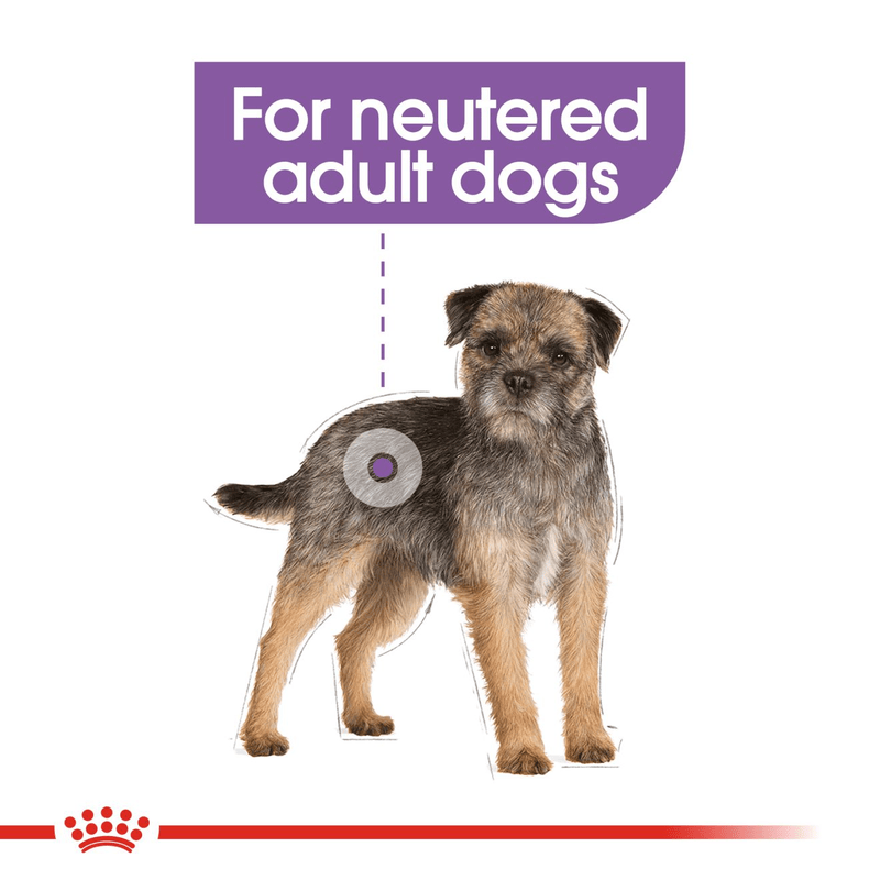 Royal Canin Mini Sterilised Small Breed Adult Dog Food.