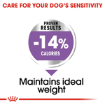 Royal Canin Mini Sterilised Small Breed Adult Dog Food.