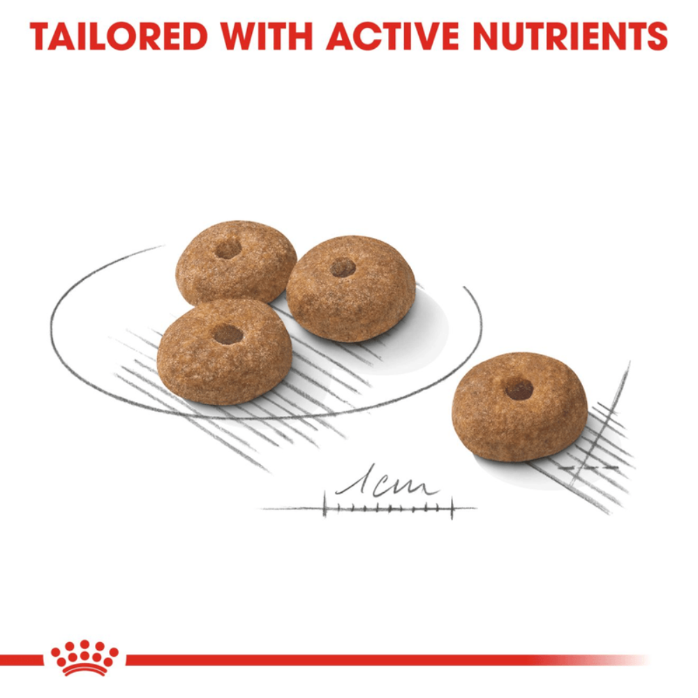 Royal Canin Mini Sterilised Small Breed Adult Dog Food.