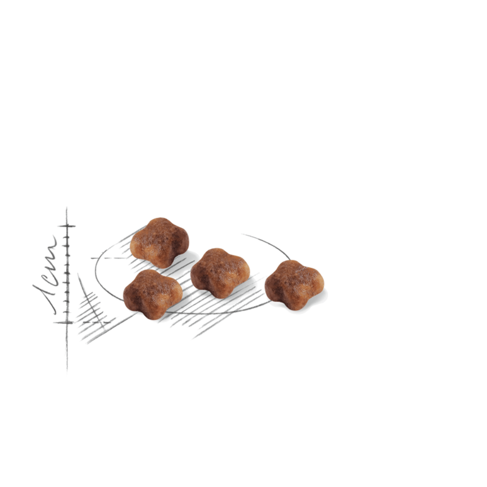 Royal Canin Mother & Babycat Cat Food.