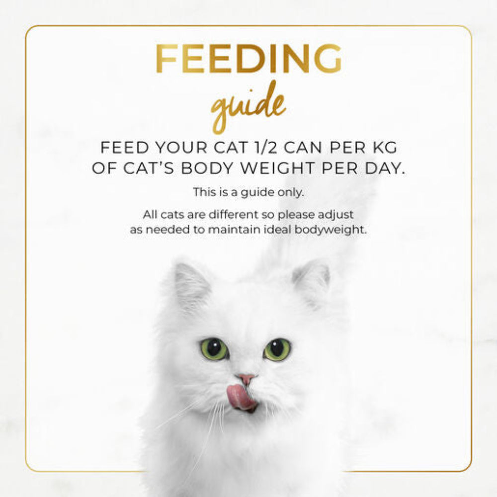 White cat with feeding guide text on a white background