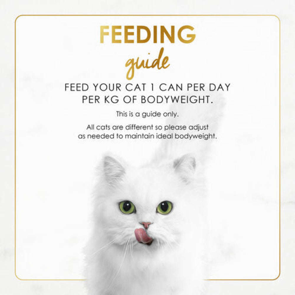 White cat with feeding guide text on a white background