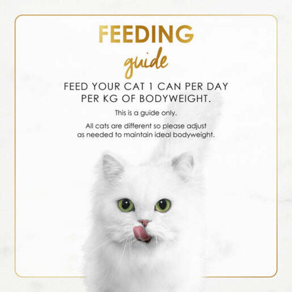 White cat with feeding guide text on a white background