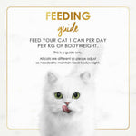 White cat with feeding guide text on a white background
