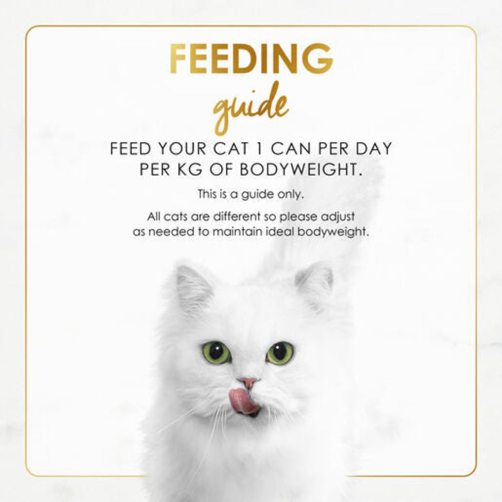 White cat with feeding guide text on a white background