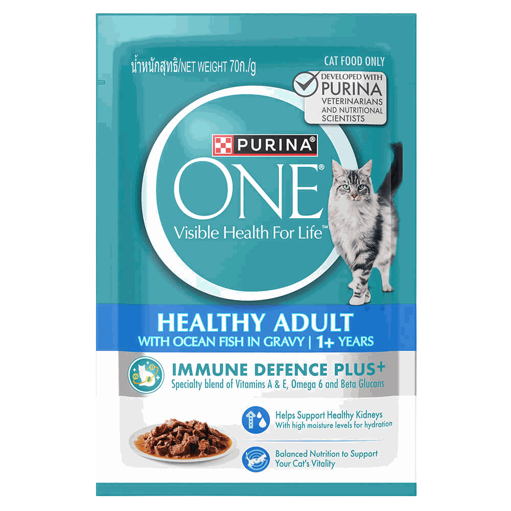 Purina One Healthy Adult Ocean Fish in Gravy Pouch Cat Food 70g Petfast.shop