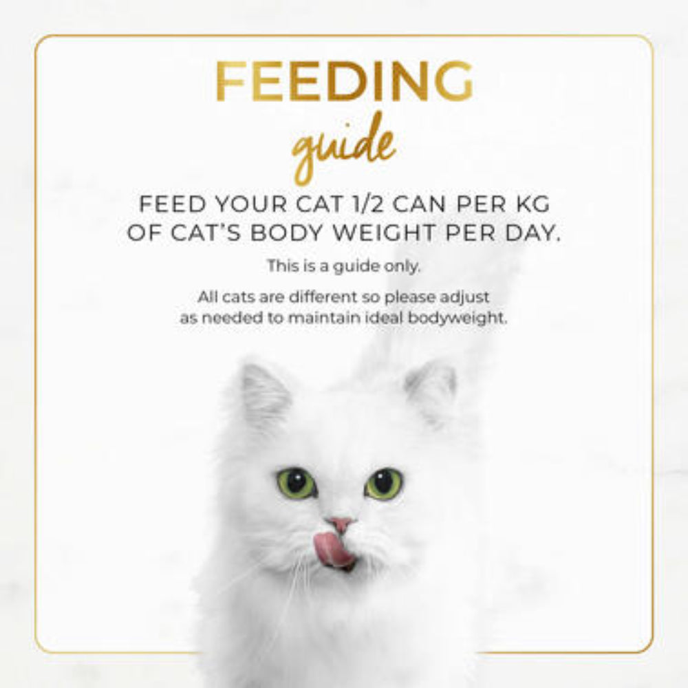 White cat with feeding guide text on a light background