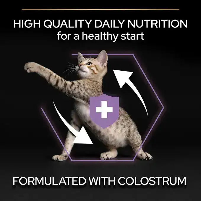 Pro Plan Healthy Start Dry Food with Chicken for Kittens 1.5 kg.