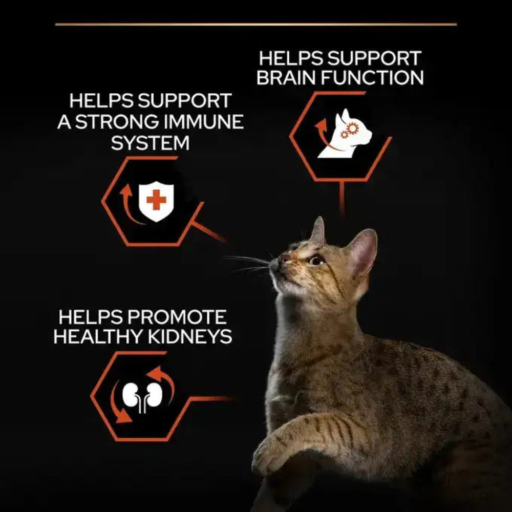 Pro Plan Vital Functions Dry Food with Salmon for Adult Cats 1.5 kg.