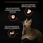 Pro Plan Vital Functions Dry Food with Salmon for Adult Cats 1.5 kg.