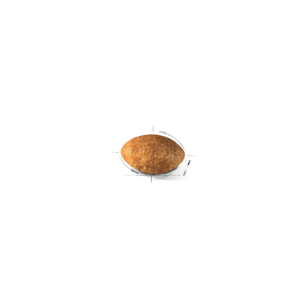 Royal Canin Persian Adult Cat Food.