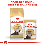 Royal Canin Persian Adult Cat Food.