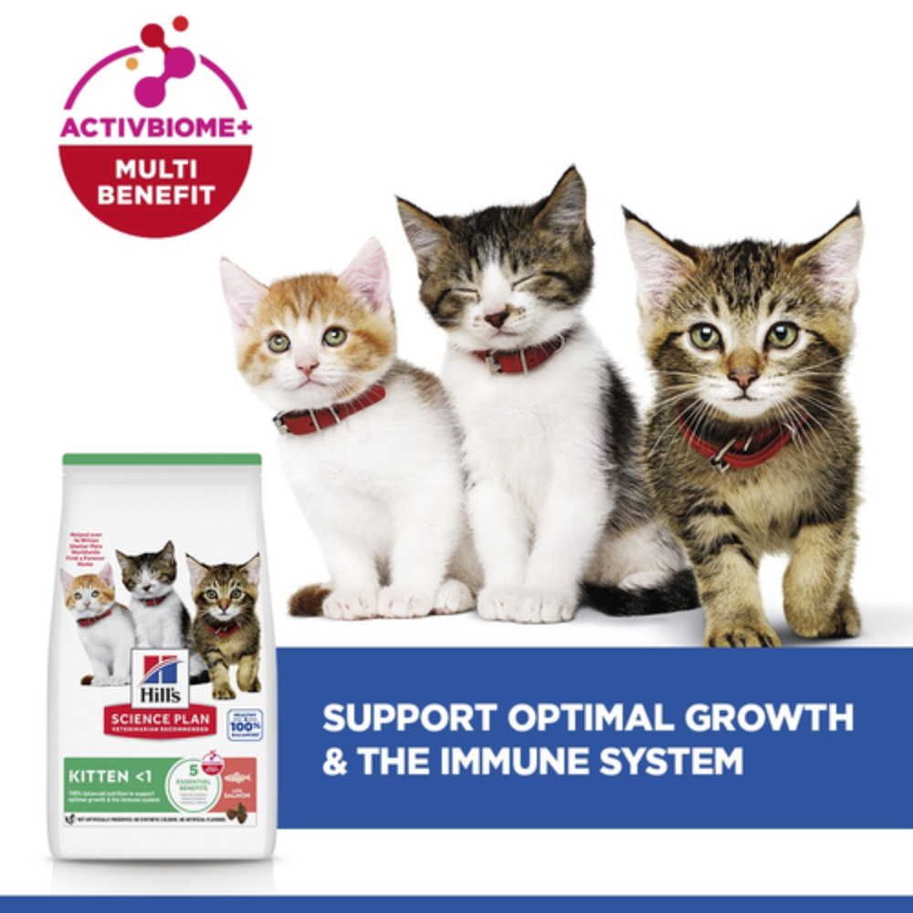 Hill's Science Plan Kitten Food with Salmon 1.5Kg Petfast.shop Hill's Cat Dry Food Food Kitten petfast.shop EgyptDefault Title 1550.00