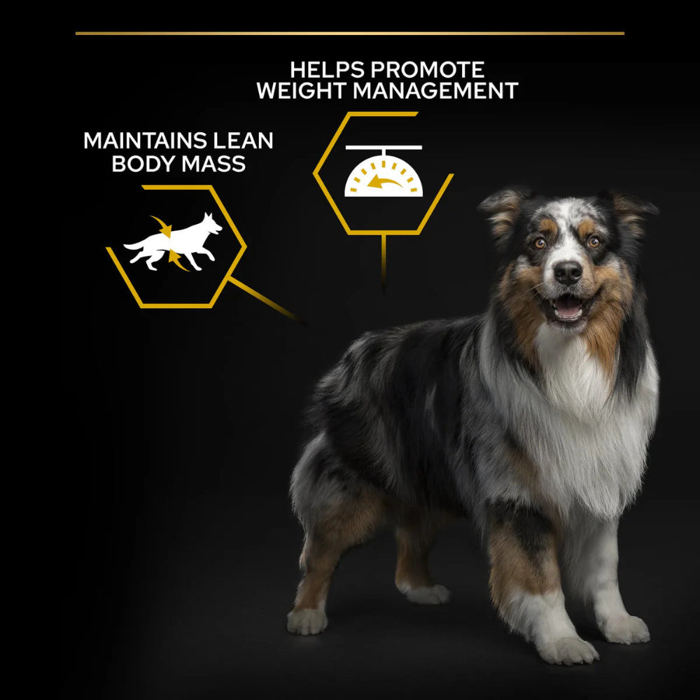 Pro Plan All Size Adult Chicken for Dog 3kg.