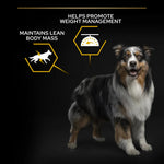 Pro Plan All Size Adult Chicken for Dog 3kg.