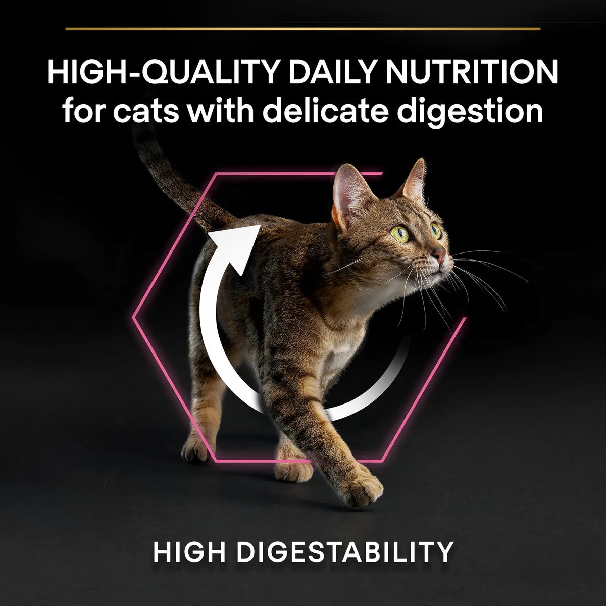 Pro Plan Delicate Adult Cat Turkey 10kg.