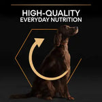 Pro Plan Everyday Nutrition Dry Food with Chicken for Large Athletic Adult Dogs 14 kg.