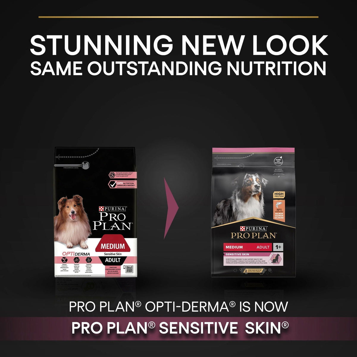 Pro Plan Medium Adult Sensitive Skin with Optiderma Rich in Salmon 3kg.