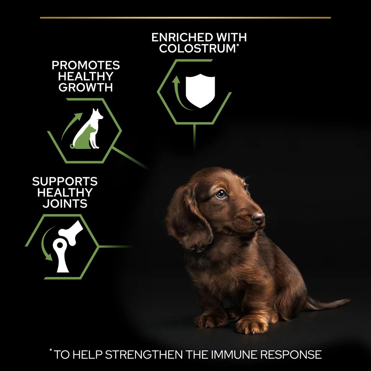 Pro Plan Small&Mini Puppy Rich In Chicken 3kg.