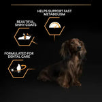 Pro PlanDry Food with Chicken forMini Breed Adult Dogs 3 kg.