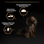 Pro PlanDry Food with Chicken forMini Breed Adult Dogs 3 kg.