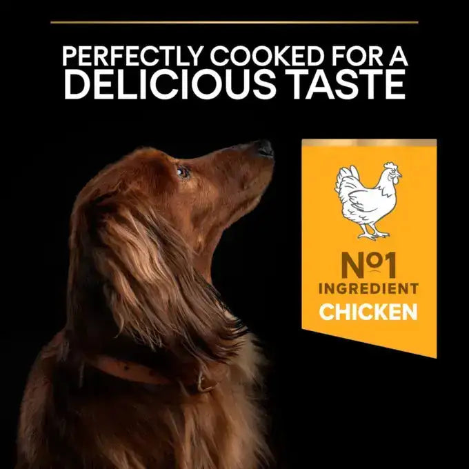 Pro PlanDry Food with Chicken forMini Breed Adult Dogs 3 kg.