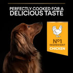 Pro PlanDry Food with Chicken forMini Breed Adult Dogs 3 kg.