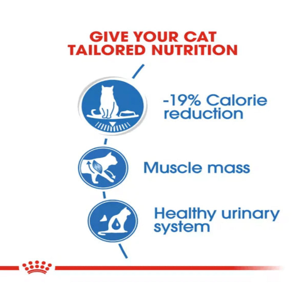 Cat food packaging with nutritional benefits on a white background