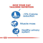 Cat food packaging with nutritional benefits on a white background