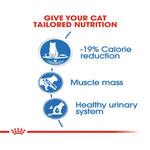 Cat food packaging with nutritional benefits on a white background