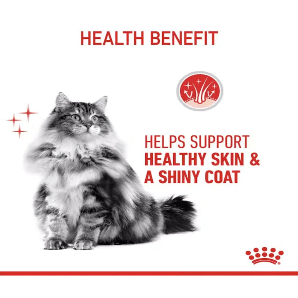 Cat with text about health benefits on a white background
