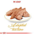 Dog food loaf on a white plate with 'Adapted texture' text and Royal Canin logo.