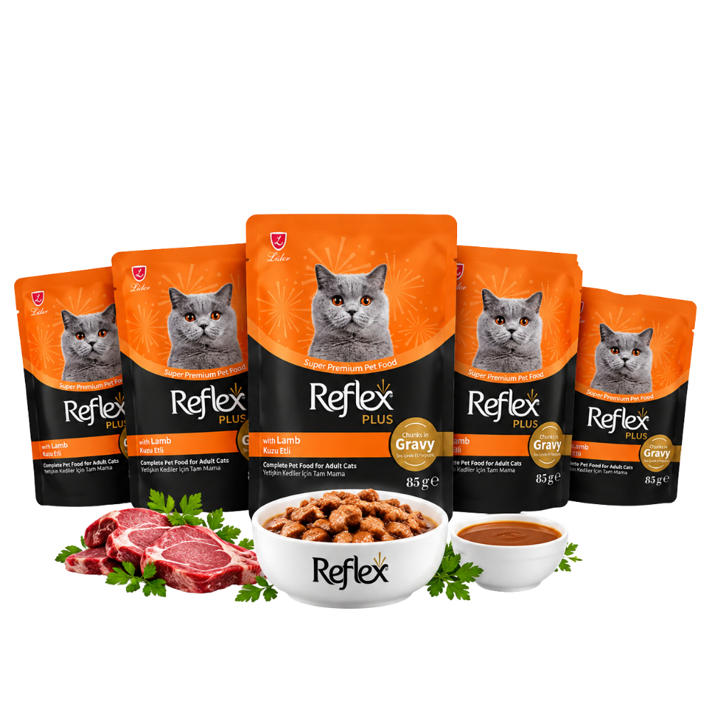 5X Reflex Plus Cat Wet Food Chunks in Gravy with Lamb 85g Petfast.shop Reflex Bundles Cat Exclude Food Wet Food petfast.shop EgyptDefault Title 190.00